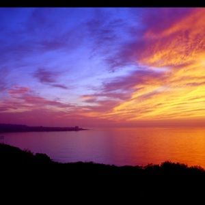 Meet your Posher, Sophia